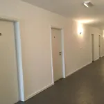 Liebeshotel Krieger 3*
